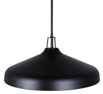 Holland Four Light Pendant (IPL1203A04BK22)