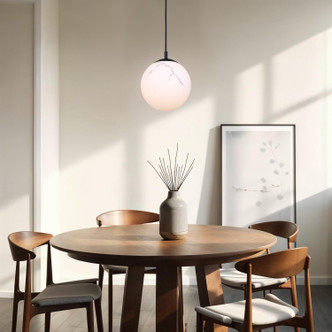 Halsey One Light Pendant (IPL2101B01BK)