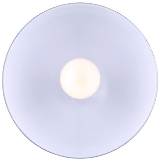Polo One Light Pendant (IPL222B01ORB)