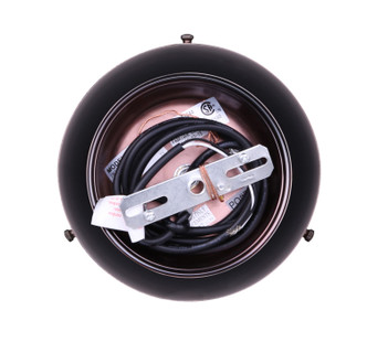 Esher One Light Pendant (IPL409B01BKA)