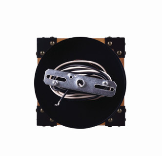 Moss One Light Pendant (IPL756A01BKW)