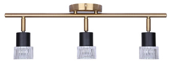 Elsee Three Light Track Lighting (IT1161A03BKG10)