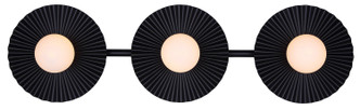 Payton Three Light Vanity (IVL1210A03BK9)