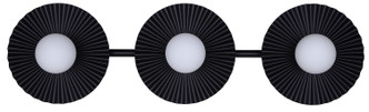 Payton Three Light Vanity (IVL1210A03BK9)