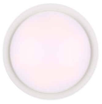 Adira LED Chandelier (LCH177A22WH)