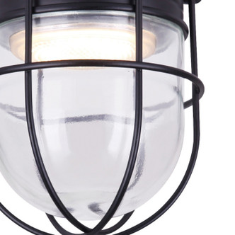 Led Barn LED Barn Light (LCL161A04CWGBK)