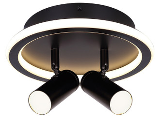 Canarm - LCW314A02BK - Two Light Ceiling/Wall Mount - Denver - Matte Black