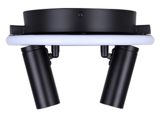 Denver Two Light Ceiling/Wall Mount (LCW314A02BK)