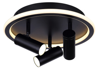 Canarm - LCW314A03BK - LED Ceiling/Wall Mount - Denver - Matte Black