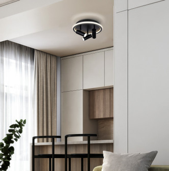 Denver LED Ceiling/Wall Mount (LCW314A03BK)