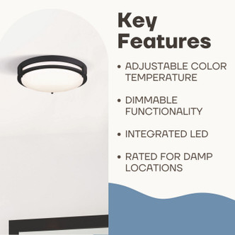 Gilda LED Flush Mount (LFM112A13BK)