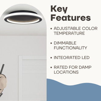 Gavyn LED Flush Mount (LFM279A16BK)
