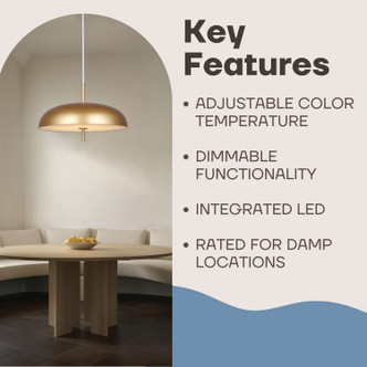 Kelvin LED Pendant (LPL287A01PGD)