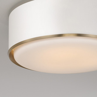 manufacturer_finish:Matte Brass and White