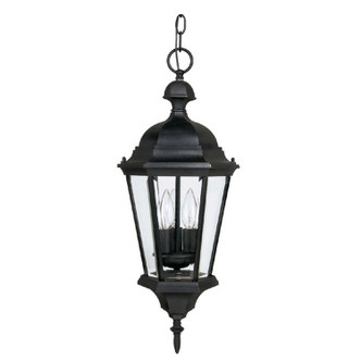 Capital Lighting - 9724BK - Three Light Outdoor Hanging Lantern - Carriage House - Black Capital Lighting - 9724BK - Three Light Outdoor Hanging Lantern - Carriage House - Black