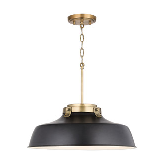 Oakwood One Light Pendant (9D331A)