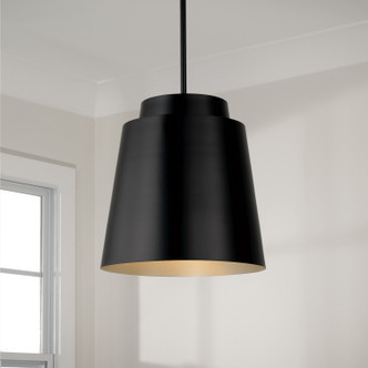manufacturer_finish:Matte Black|manufacturer_glass:Matte Black Metal Shade with Soft Gold Interior