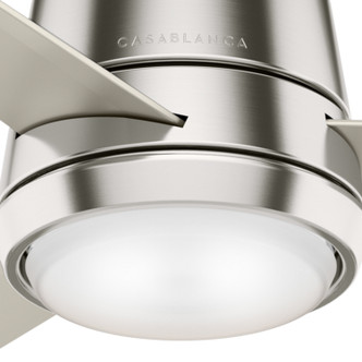 Commodus 44" Ceiling Fan (59570)