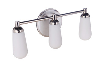 Riggs Three Light Vanity (13122BNKPLN3)