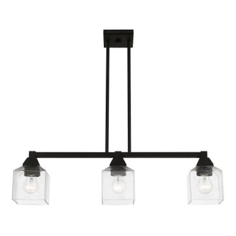 Aragon Three Light Linear Chandelier (49763-04)