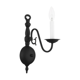 Williamsburg One Light Wall Sconce (5001-04)