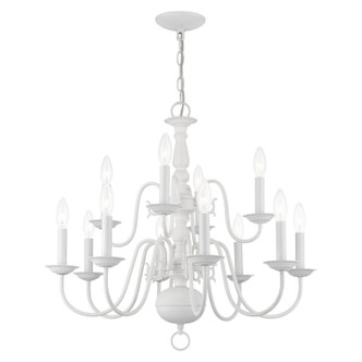 Williamsburg 12 Light Chandelier (5012-03)