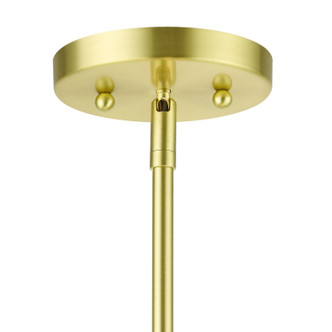 Meridian Five Light Chandelier (50875-12)