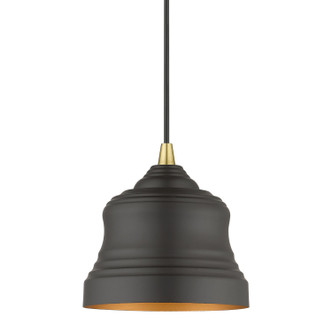 Endicott One Light Pendant (55901-07)