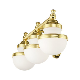 Oldwick Three Light Vanity (5713-02)