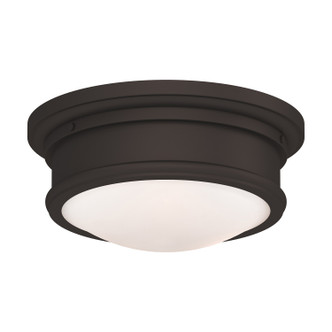 Astor Two Light Ceiling Mount (7341-07)