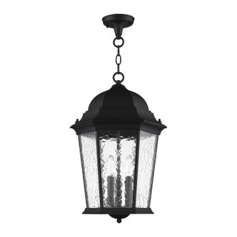 Hamilton Three Light Outdoor Pendant (75475-14)