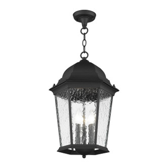 Hamilton Three Light Outdoor Pendant (75475-14)