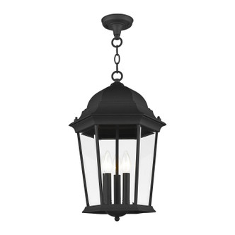 Hamilton Three Light Outdoor Pendant (7569-14)