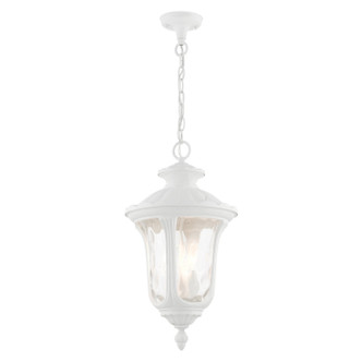 Oxford Three Light Outdoor Pendant (7858-13)