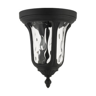 Oxford Two Light Outdoor Ceiling Mount (7861-14)