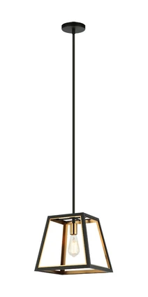 Rosalie One Light Pendant (C72101MBAG)