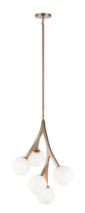 Matteo Lighting - C81505AGOP - Five Light Chandelier - Rami - Aged Gold Brass Matteo Lighting - C81505AGOP - Five Light Chandelier - Rami - Aged Gold Brass