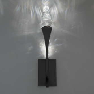 Schonbek Beyond - BWSW25523-BK - LED Outdoor Wall Mount - Plumeria - Black