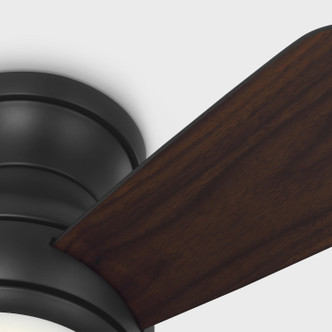 Orbis 32 Hugger LED 32"Ceiling Fan (3OBSHR32MBKD)