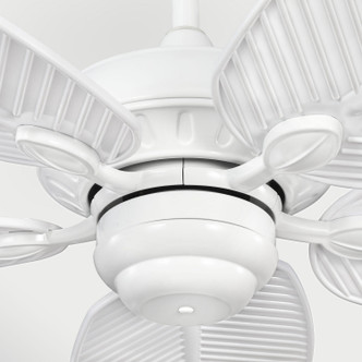 Cruise Outdoor 60 60"Ceiling Fan (5CUR60WH)