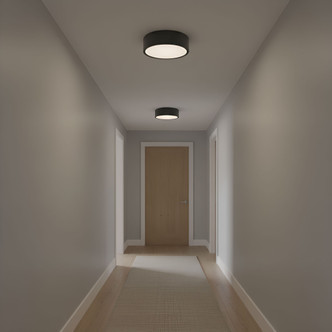 Albee Flush Mount (GLF1032MBK)