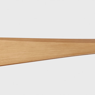 Adler 60 60" Ceiling Fan (3ADR60MBK)