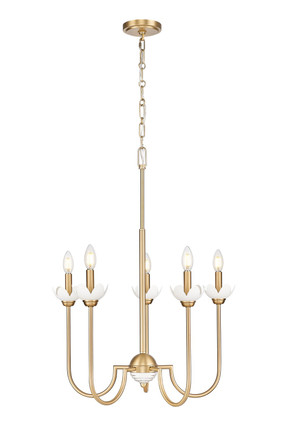 Z-Lite - 352-5MGLD - Five Light Chandelier - Allistair - Modern Gold