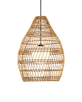 Currey and Company - 9500-0016 - One Light Pendant - Fishtrap Outdoor Pendant - Natural / Black / Frosted White