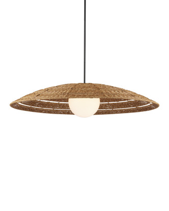 Currey and Company - 9500-0018 - One Light Pendant - Barbary - Natural / Black / Frosted White