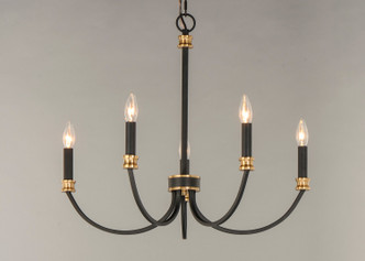 Charlton Five Light Chandelier (11375BKAB)