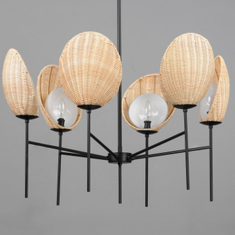 Maldives Six Light Chandelier (12606NABK)