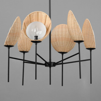 Maldives Six Light Chandelier (12606NABK)