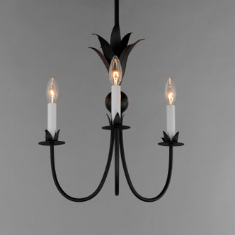 Paloma Three Light Chandelier (2883AR)