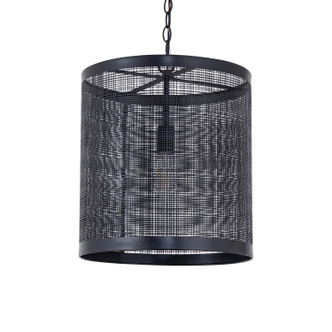 Hatcher One Light Pendant (31222BK)